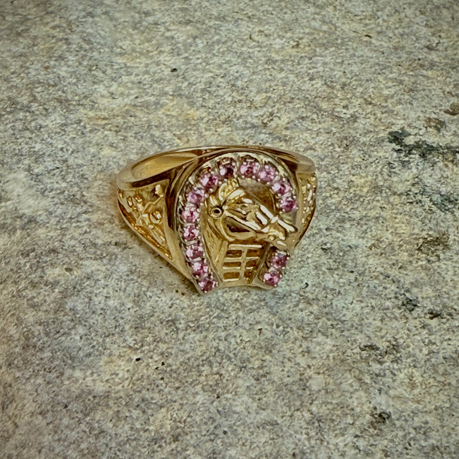 LUCKY REIGNS || Statement Horse Ring